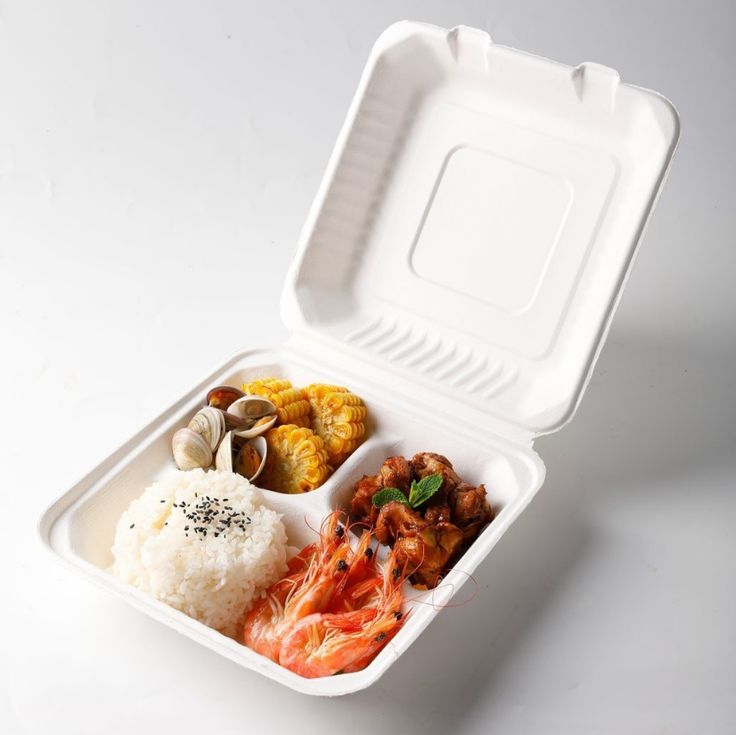 solanki food packaging (2)